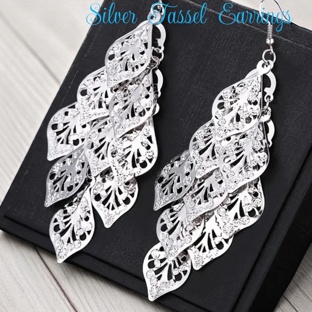 🩵🆕🩵Silver Tassel Earrings